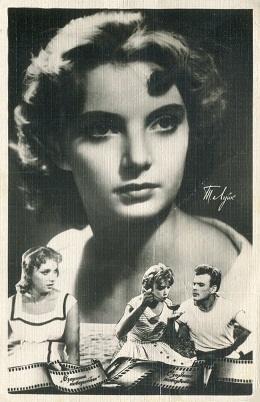 ���� �����